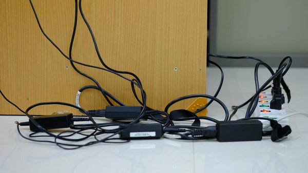 Rats et câbles : pourquoi votre entreprise tech doit agir contre les rongeurs ?